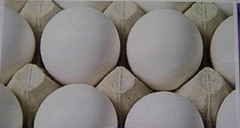 Human view of same eggs after egg washing