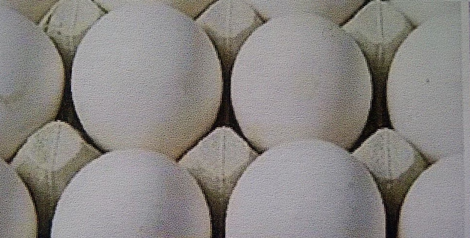 human view of A class eggs (not washed)